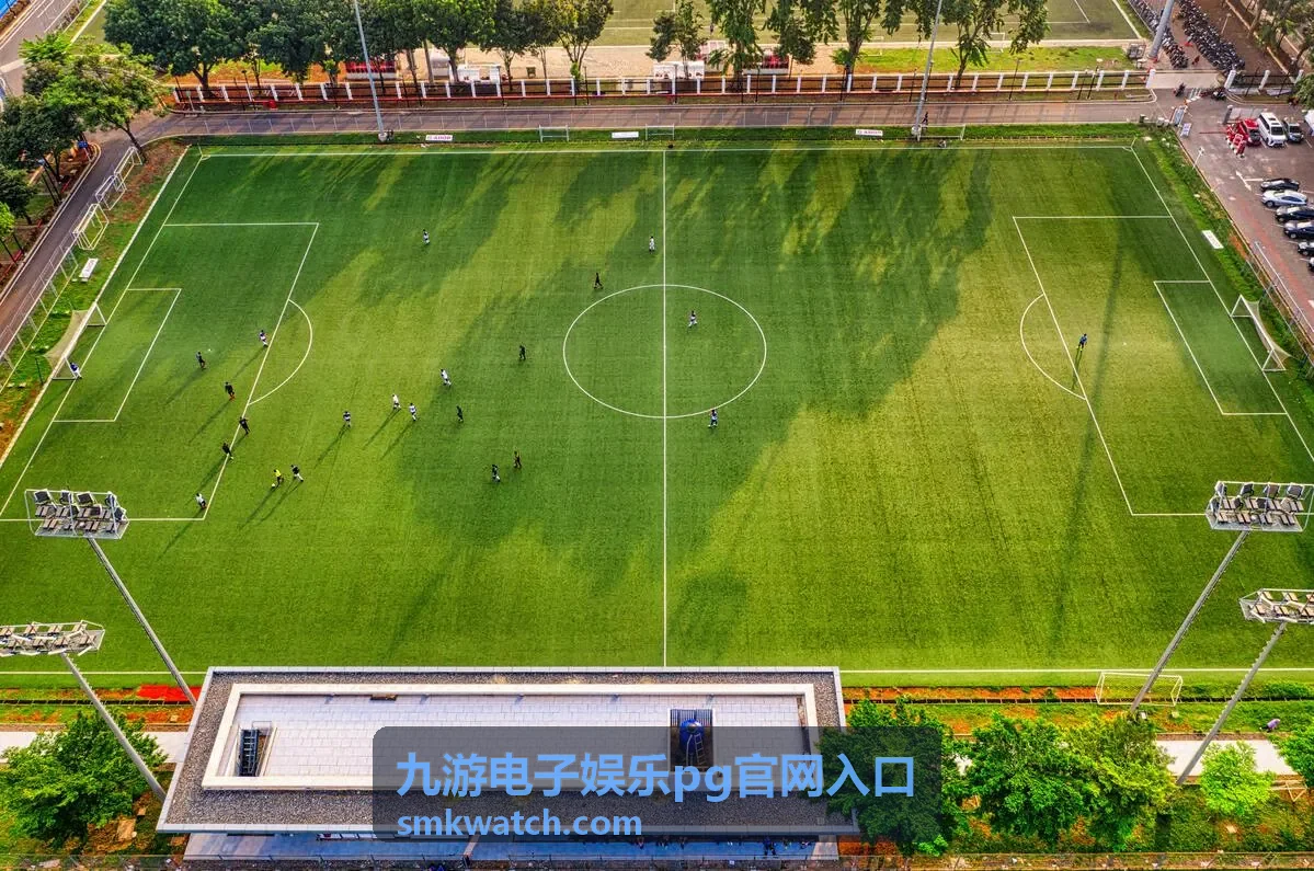 九游电子娱乐PG官网入口的电子游艺试玩记录封面